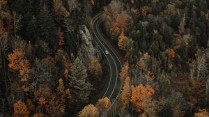 Preview wallpaper forest, road, aerial view, overview, height
