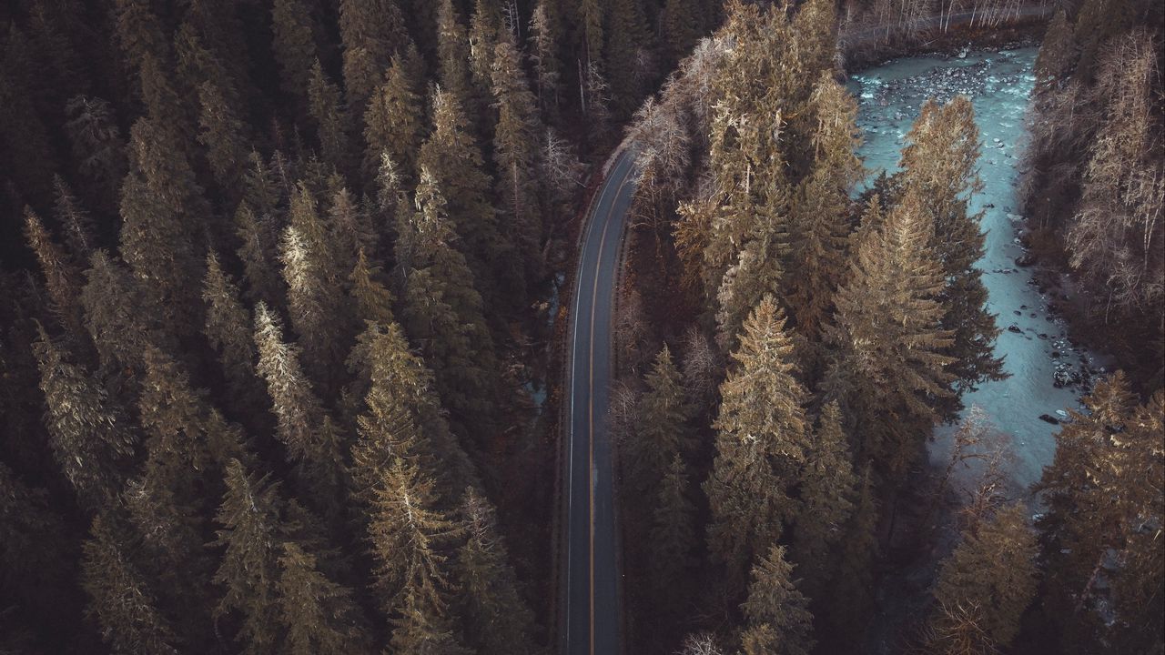 Wallpaper forest, road, aerial view, pines, trees, treetops