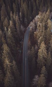 Preview wallpaper forest, road, aerial view, pines, trees, treetops