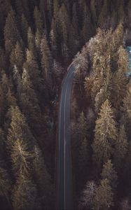 Preview wallpaper forest, road, aerial view, pines, trees, treetops