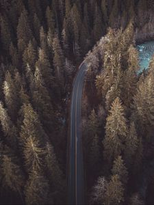 Preview wallpaper forest, road, aerial view, pines, trees, treetops