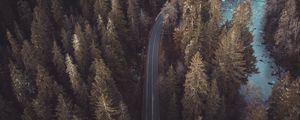 Preview wallpaper forest, road, aerial view, pines, trees, treetops