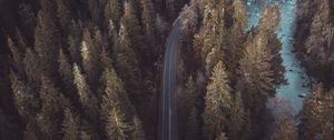 Preview wallpaper forest, road, aerial view, pines, trees, treetops