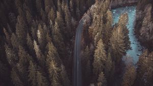 Preview wallpaper forest, road, aerial view, pines, trees, treetops