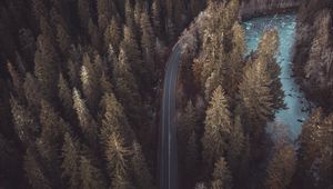 Preview wallpaper forest, road, aerial view, pines, trees, treetops