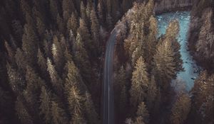 Preview wallpaper forest, road, aerial view, pines, trees, treetops