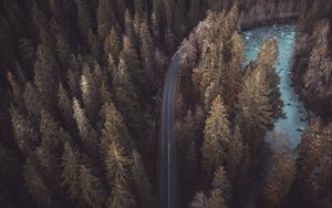 Preview wallpaper forest, road, aerial view, pines, trees, treetops