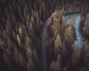 Preview wallpaper forest, road, aerial view, pines, trees, treetops