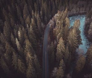 Preview wallpaper forest, road, aerial view, pines, trees, treetops