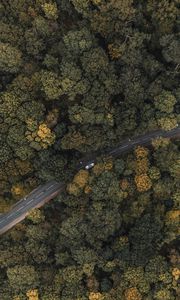 Preview wallpaper forest, road, aerial view, trees, treetops, car