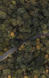 Preview wallpaper forest, road, aerial view, trees, treetops, car