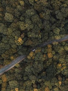 Preview wallpaper forest, road, aerial view, trees, treetops, car