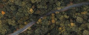 Preview wallpaper forest, road, aerial view, trees, treetops, car