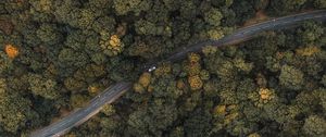 Preview wallpaper forest, road, aerial view, trees, treetops, car