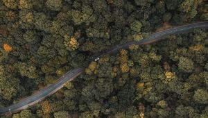 Preview wallpaper forest, road, aerial view, trees, treetops, car