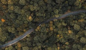 Preview wallpaper forest, road, aerial view, trees, treetops, car