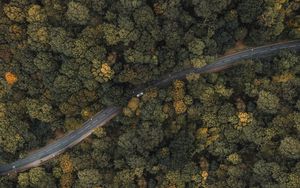 Preview wallpaper forest, road, aerial view, trees, treetops, car