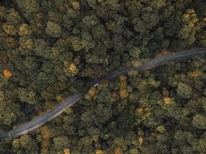 Preview wallpaper forest, road, aerial view, trees, treetops, car