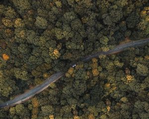 Preview wallpaper forest, road, aerial view, trees, treetops, car