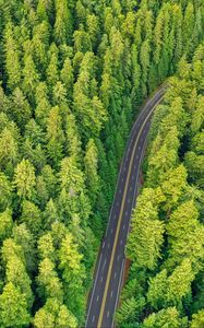 Preview wallpaper forest, road, aerial view, trees, pines