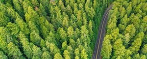 Preview wallpaper forest, road, aerial view, trees, pines