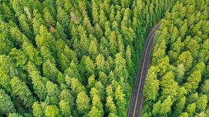 Preview wallpaper forest, road, aerial view, trees, pines