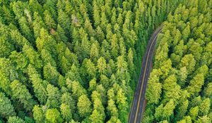 Preview wallpaper forest, road, aerial view, trees, pines