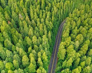 Preview wallpaper forest, road, aerial view, trees, pines