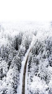 Preview wallpaper forest, road, aerial view, snow, winter