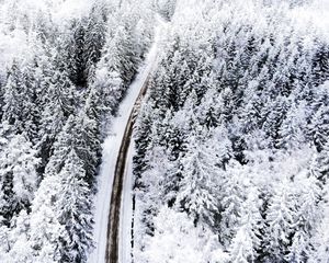 Preview wallpaper forest, road, aerial view, snow, winter