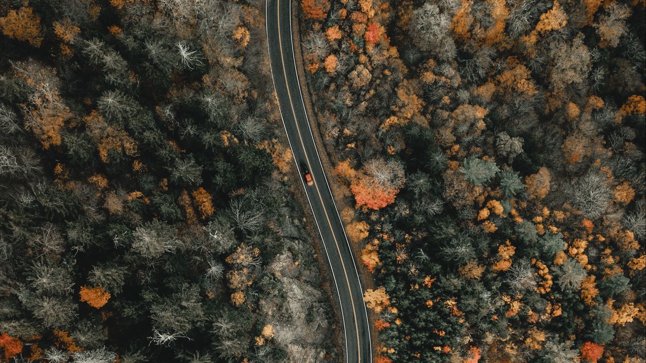 Wallpaper forest, road, aerial view, winding, nature