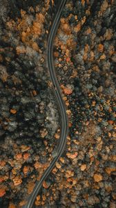 Preview wallpaper forest, road, aerial view, winding, nature