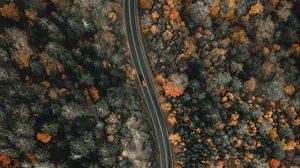 Preview wallpaper forest, road, aerial view, winding, nature