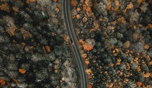 Preview wallpaper forest, road, aerial view, winding, nature