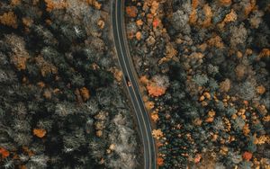 Preview wallpaper forest, road, aerial view, winding, nature