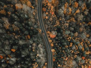 Preview wallpaper forest, road, aerial view, winding, nature
