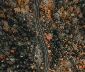 Preview wallpaper forest, road, aerial view, winding, nature