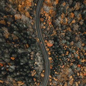 Preview wallpaper forest, road, aerial view, winding, nature