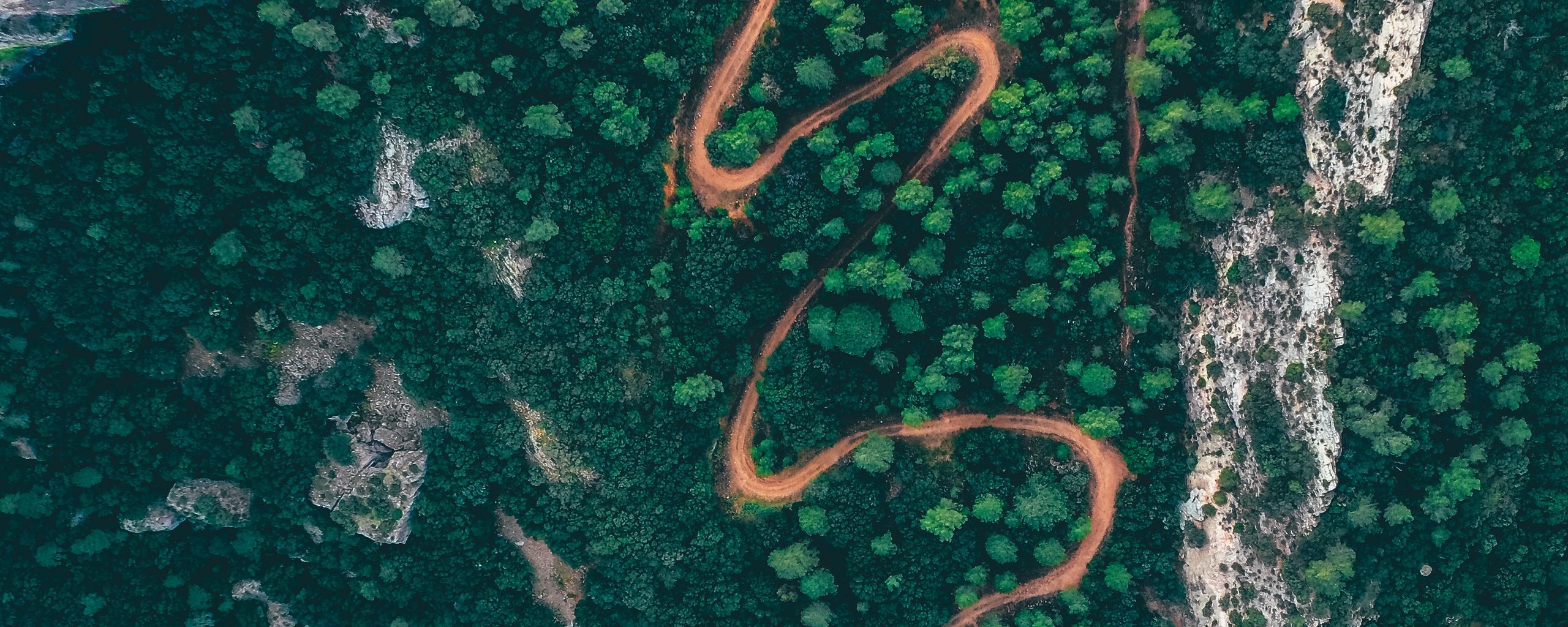 Download wallpaper 2560x1024 forest, road, aerial view, trees