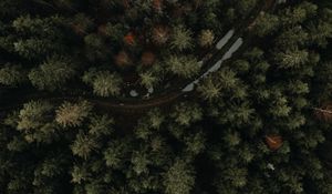 Preview wallpaper forest, road, aerial view, trees, puddles