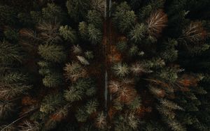 Preview wallpaper forest, road, aerial view, autumn