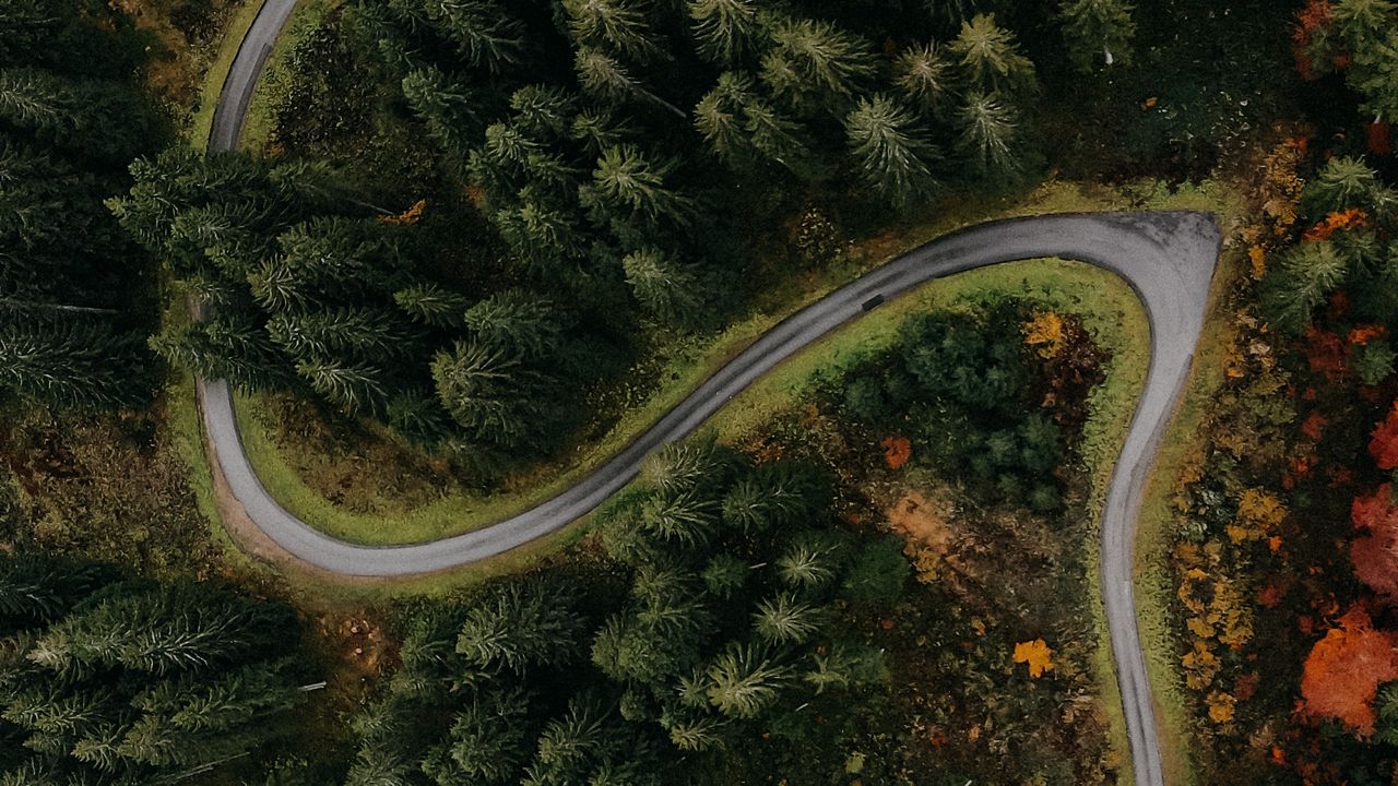 Wallpaper forest, road, aerial view, turn, trees