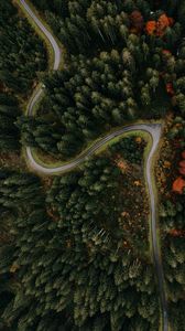 Preview wallpaper forest, road, aerial view, turn, trees