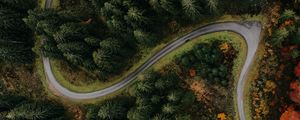 Preview wallpaper forest, road, aerial view, turn, trees