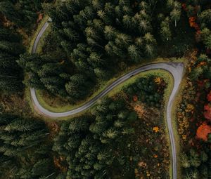 Preview wallpaper forest, road, aerial view, turn, trees