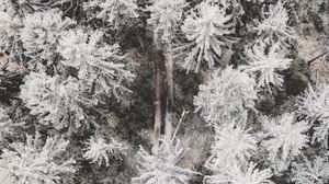 Preview wallpaper forest, road, aerial view, trees, snow, winter