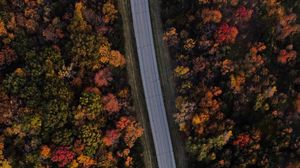 Preview wallpaper forest, road, aerial view