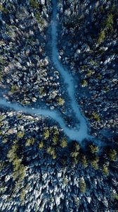 Preview wallpaper forest, road, aerial view, snow