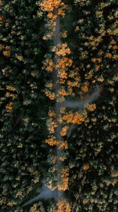 Preview wallpaper forest, road, aerial view, trees, height, overview