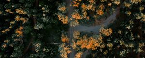 Preview wallpaper forest, road, aerial view, trees, height, overview